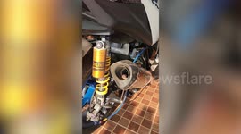 Frog vibrates while stuck in motorbike exhaust pipe