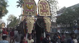 Over 50 stunningly decorated elephants join colorful parade, religious procession in Kerala, India