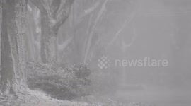 Nor'easter brings heavy snow and high winds to Pennsylvania