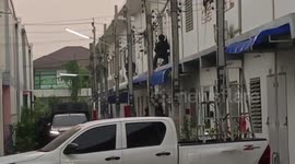 Gunman in 24-hour standoff with police after firing shots from home