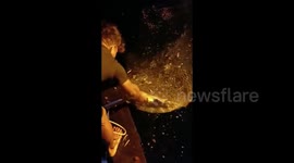 Group of fisherman hand-feed gigantic whale shark off coast of Indonesia