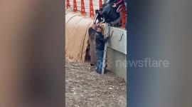 Turkey floods: People heroically rescue worker stuck in chest-deep muddy water