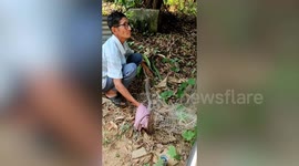 Family released snake tangled in net in neighbour's yard
