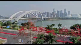 A Variety of Flowers Bloom in Nanning, China
