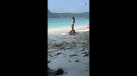 'That's insane!' - Savage monkey tries to steal from a tourist's purse