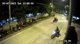 Escaped buffalo rampages through Buddhist temple during FUNERAL