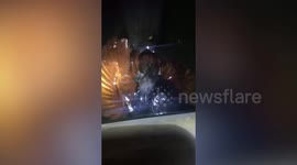 Hero resident saves wild bird he found drowning in well