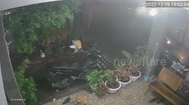 Postman hilariously takes picture of pet cat next to parcels as proof of delivery