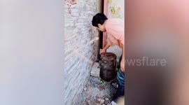 Litter of Himalayan kittens rescued from narrow wall gap in Thailand