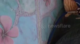 Stray kitten rescued inside family's car engine