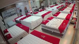 Dog caught stealing plush puppy from bed store in Brazil