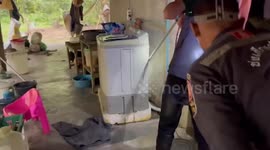 Rescuers drag enormous deadly cobra hiding behind family's washing machine