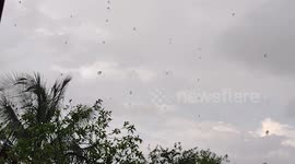 Dia de muita chuva em minha cidade, aproveitei e gravei essa linda chuva em meu quintal