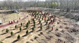 Volunteers Plant Trees in Qingzhou, China