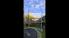 'Not the Best Idea' - Man goes inside mattress and then hits the trampoline