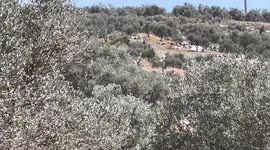 Palestinian protesters burn tyres and hurl stones towards Israeli forces during a demonstration in the village of Beita, south of Nablus in the West Bank, against the establishment of Israeli outposts on their lands