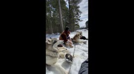Life outdoors in Canad in winter is made all the better with our sled dogs in apres dog sledding fun