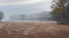 It’s a beautiful, cold November morning and as the fog lifts, a flock of wild turkeys descend from their treetop roosts