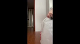 Cat Syoma Jumps Into Plastic Bag and Looks Out of It | Funny Video!