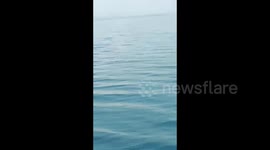 The ferry passengers were thrown into the sea while returning to the Madura islands