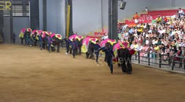 These cute little elephants perform at a  show at Nong Nooch Garden, outside Pattaya, Thailand.