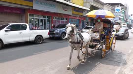 Horse Carriages in Lampang, Thailand are prospering with the return of visitors