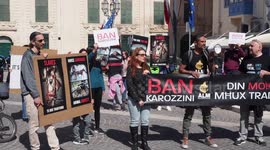 Animal rights protestors with police escort complaining about the Karrozzin horse carriages used by tourists.