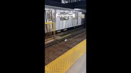 Rescuer shares heartwarming story about how she saved and later befriended a bunny from the train tracks