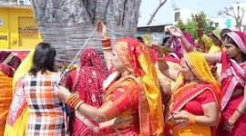 Rajasthani women perform rituals at ficus religiosa tree during Dasha Mata Pujan in India