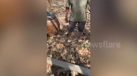 Kind youngsters rescue stray dog stuck under abandoned well