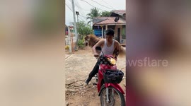 Adorable pet Siberian Husky balances on back of motorcycle