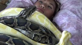 Woman tries terrifying snake massage with two mammoth reptiles