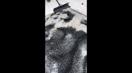Satisfying black rug cleaning video shows that everything is fun when you love your job