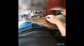 'I've got a pet crocodile – she sleeps in my bed,' says man, 29, with collection of exotic pets Part 3/4