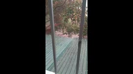 Hailstorm caused strong winds and destroyed many roofs in northern Vietnam