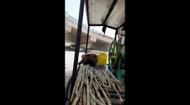 Best manual Small Business of Sugarcane Juice Selling in India . Indian Street Food
