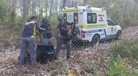 Injured bee hunter stuck on cliff rescued in Thailand