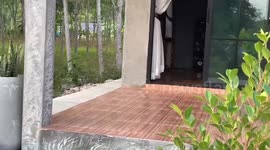 Angry 12ft king cobra caught in house after escaping from pet dog