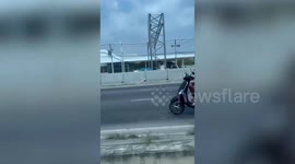 Pet parrot perches on owner's hand while riding moped