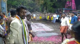 Devotees scalded after falling during walk over bed of burning embers in India