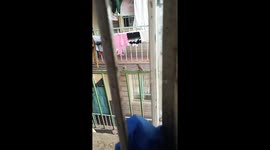 Woke up to this little birds in the morning