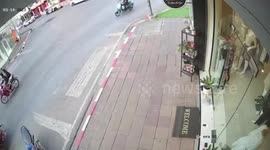 Monitor lizard attempts and fails walking through transparent glass shopfront