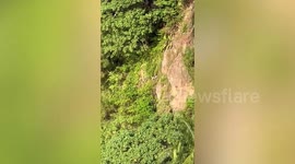 Hero rescuers cross river and climb mountain to save stray dog stuck on cliff for four days