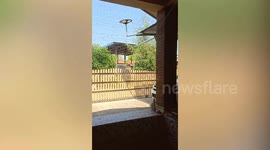 Massive swarm of bees buzz outside family’s home