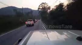 Wild elephant stops oncoming cars on rural road
