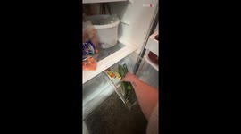 *Impressive Life Hack* Simple trick to help keep vegetables and fruits fresh for longer inside fridge