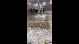 Severe hailstorms causing strong winds damaged many roofs and toppled many trees in central Vietnam