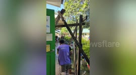 Terrified schoolchildren flee amid gunfight between soldiers and communist rebels in the Philippines