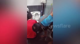 Volunteers plunge hands into toilet bowl to fish out python clogging pipework