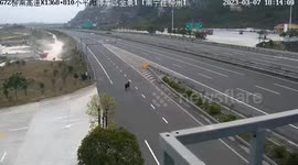 Cow suddenly appearing on highway killed by car that crashed into it in China